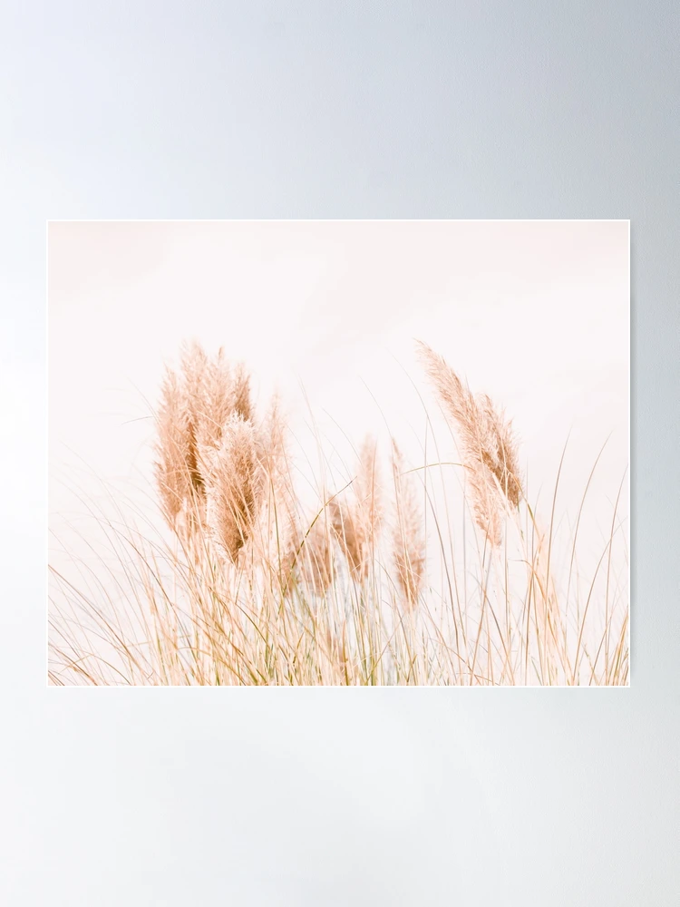 Pampas grass watercolor Poster for Sale by anna0711