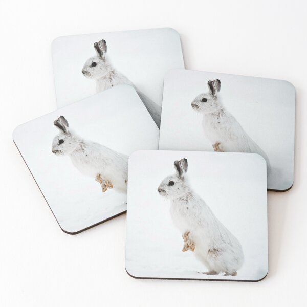 Item preview, Snow Shoe Hare designed and sold by Michael Cummings.