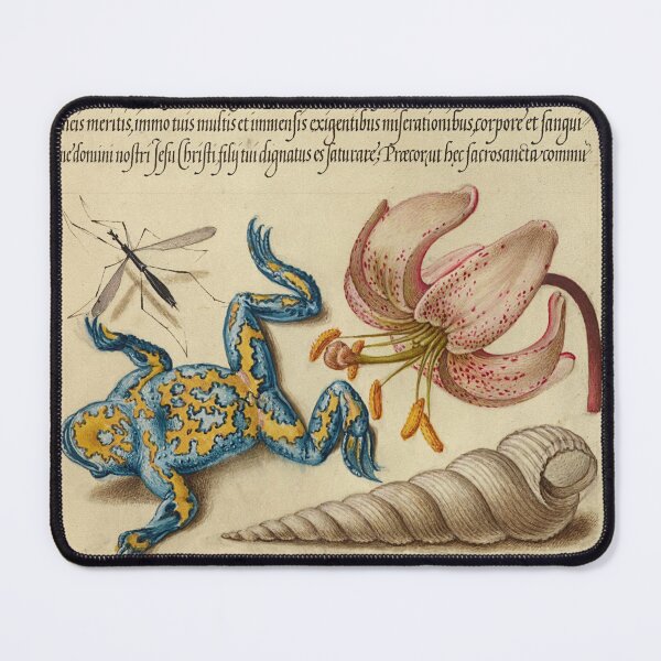 Item preview, Naturalist Manuscript: Flowers, Frog and Calligraphy Illumination by Joris Hoefnagel designed and sold by Naturalist Prints.