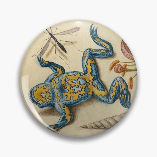 Item preview, Naturalist Manuscript: Flowers, Frog and Calligraphy Illumination by Joris Hoefnagel designed and sold by Naturalist Prints.