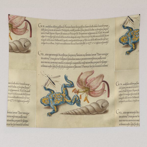 Item preview, Naturalist Manuscript: Flowers, Frog and Calligraphy Illumination by Joris Hoefnagel designed and sold by Naturalist Prints.