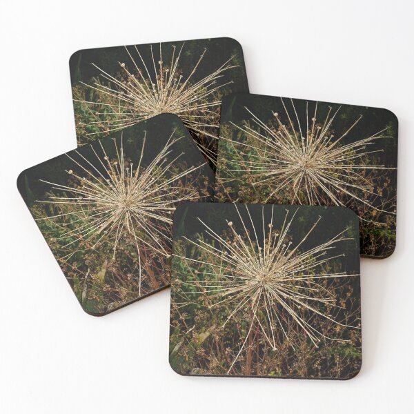 Item preview, The walled garden #17 designed and sold by jonny hughes.