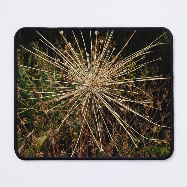 Item preview, The walled garden #17 designed and sold by jonny hughes.