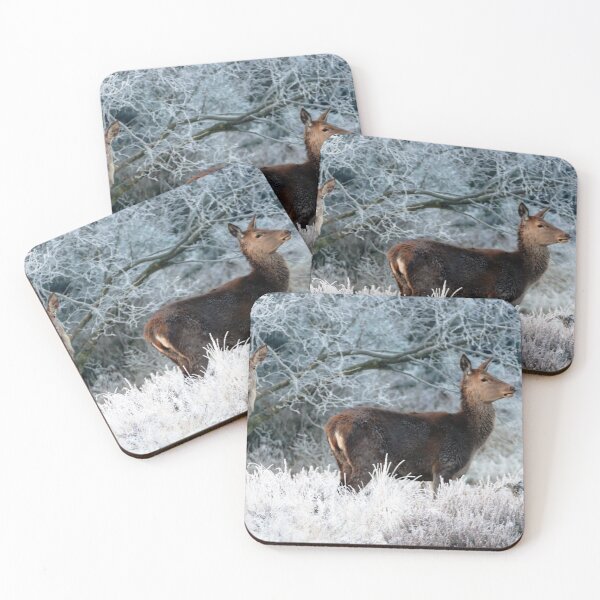 Item preview, Scottish Wildlife Deer, Highland Scotland designed and sold by DiensDesign.