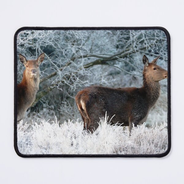 Item preview, Scottish Wildlife Deer, Highland Scotland designed and sold by DiensDesign.