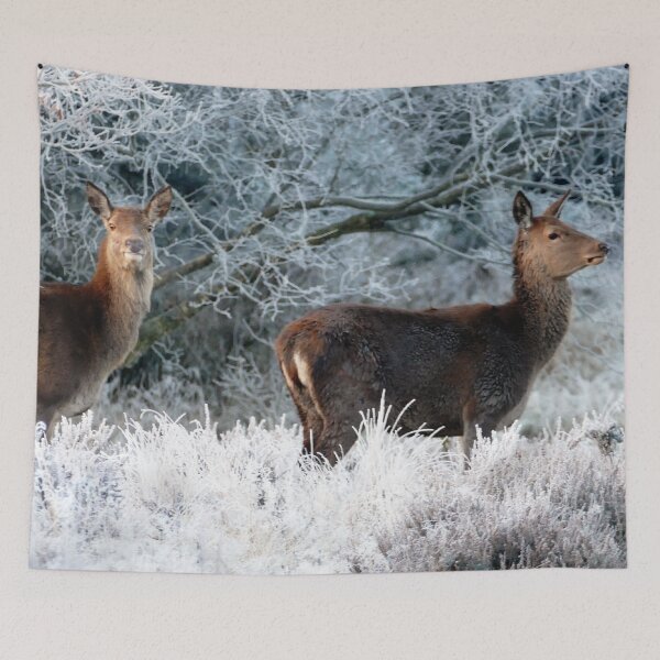 Item preview, Scottish Wildlife Deer, Highland Scotland designed and sold by DiensDesign.