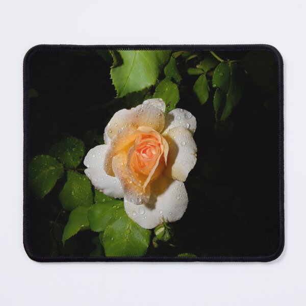 Item preview, The Walled Garden #21 designed and sold by jonny hughes.