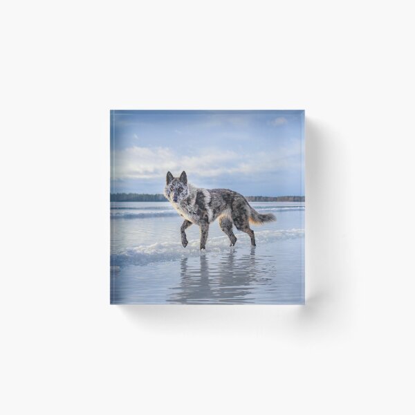 Item preview, Divinity designed and sold by NordicWolfdogs.