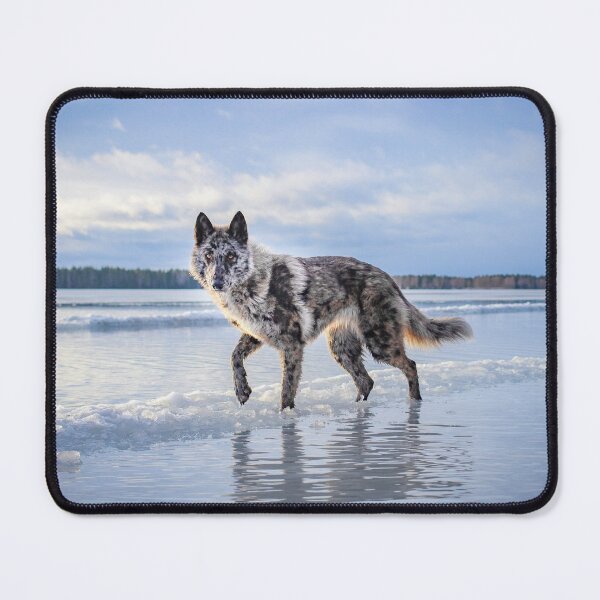 Item preview, Divinity designed and sold by NordicWolfdogs.