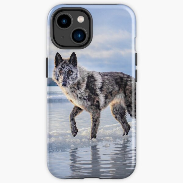 Divinity iPhone Tough Case