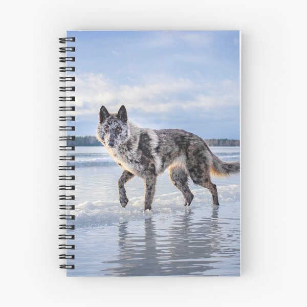 Item preview, Divinity designed and sold by NordicWolfdogs.