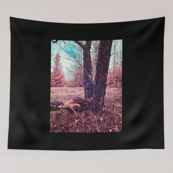 Item preview, Pink woods blue skies designed and sold by Jouko Lehto Photography.