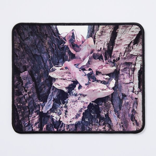 Item preview, Spikes and stripes. Pink series designed and sold by Jouko Lehto Photography.