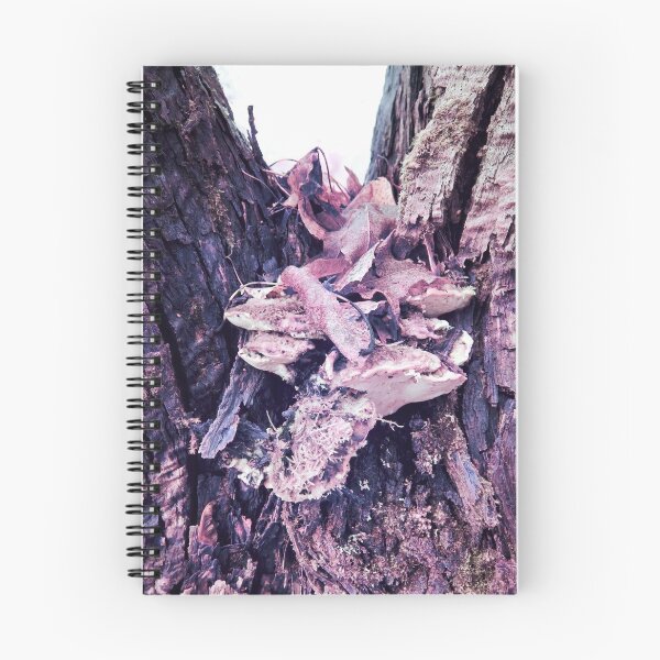 Item preview, Spikes and stripes. Pink series designed and sold by Jouko Lehto Photography.