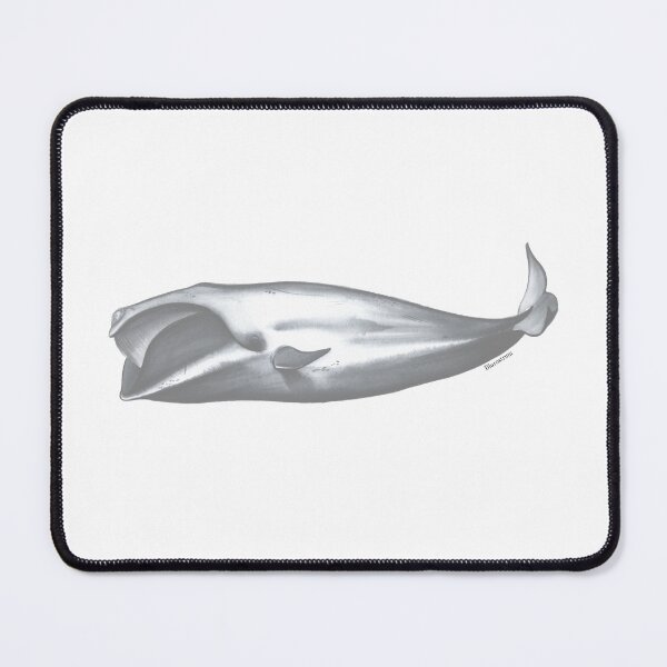 Item preview, Eubalaena (watercolor work) designed and sold by Alberto Orilia.
