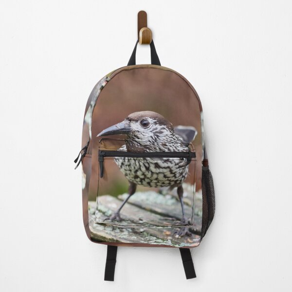 Item preview, Nuts over the nuts. Spotted nutcracker designed and sold by Jouko Lehto Photography.