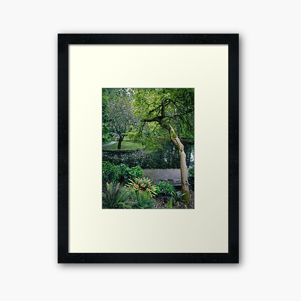 Item preview, Burnham Beeches in Spring designed and sold by Alex Fricke.