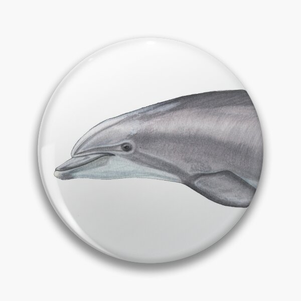 Item preview, Bottlenose dolphin, Tursiops truncatus - watercolor  designed and sold by Alberto Orilia.