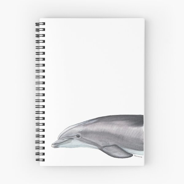 Item preview, Bottlenose dolphin, Tursiops truncatus - watercolor  designed and sold by Alberto Orilia.