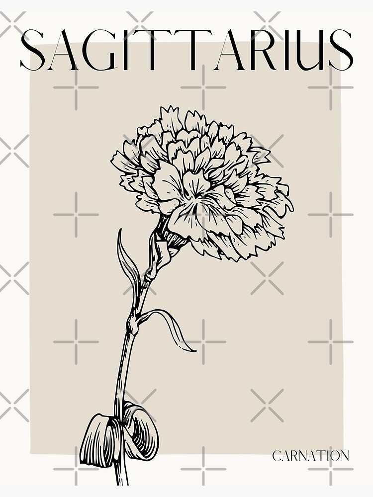 "Sagittarius Flower Art Design, Carnation Flower, Matisse Style Artwork