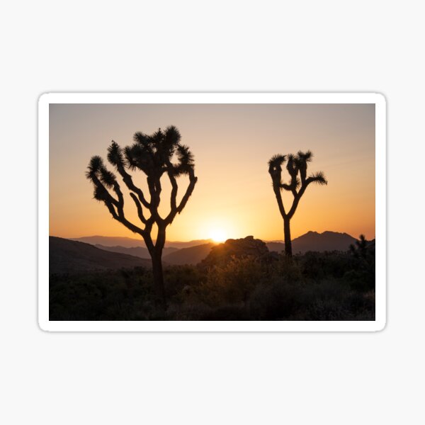 Item preview, Joshua Tree Sunset designed and sold by Elena Ray.