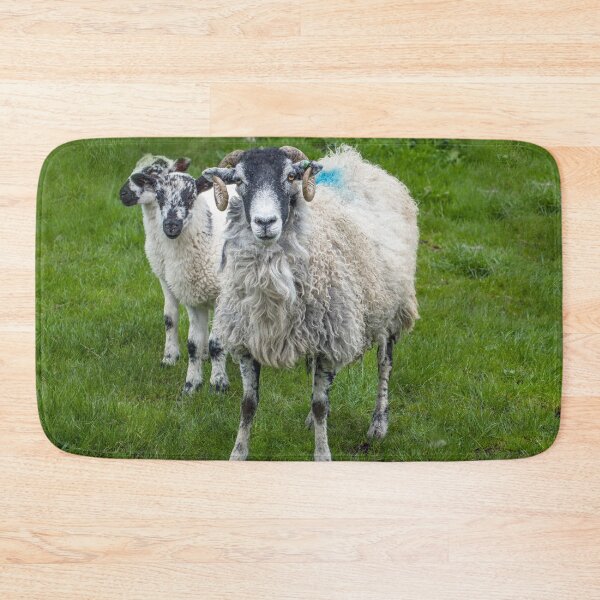Item preview, Swaledale Sheep and Lambs Close up designed and sold by Cameranick.