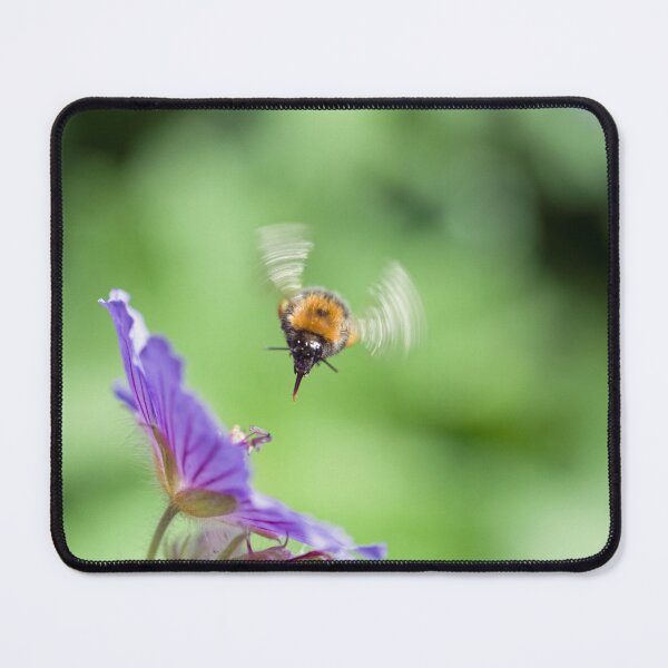 Item preview, Bee about to land on a flower with wings working hard designed and sold by Cameranick.