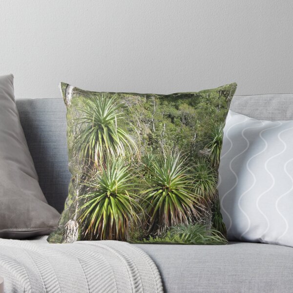 Aperçu de l'œuvre Richea pandanifolia Mont Rufus Tas créée et vendue par PeterJF.
