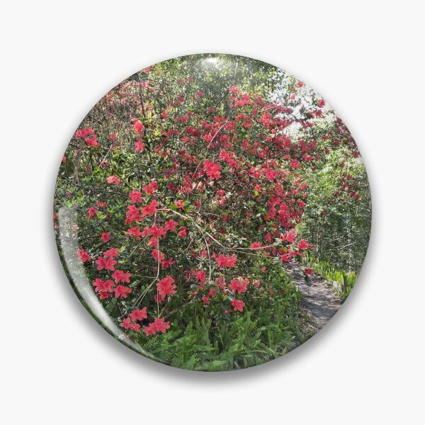 Item preview, Azalea Trail in Ravine Gardens designed and sold by howwefindhappy.