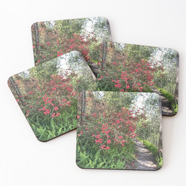 Item preview, Azalea Trail in Ravine Gardens designed and sold by howwefindhappy.