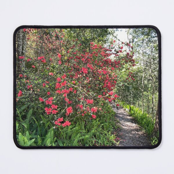 Item preview, Azalea Trail in Ravine Gardens designed and sold by howwefindhappy.