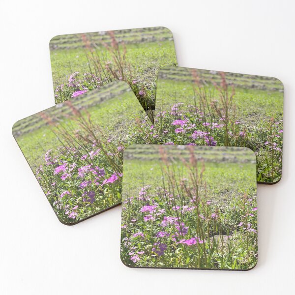 Item preview, Ravine Gardens Ampitheater designed and sold by howwefindhappy.