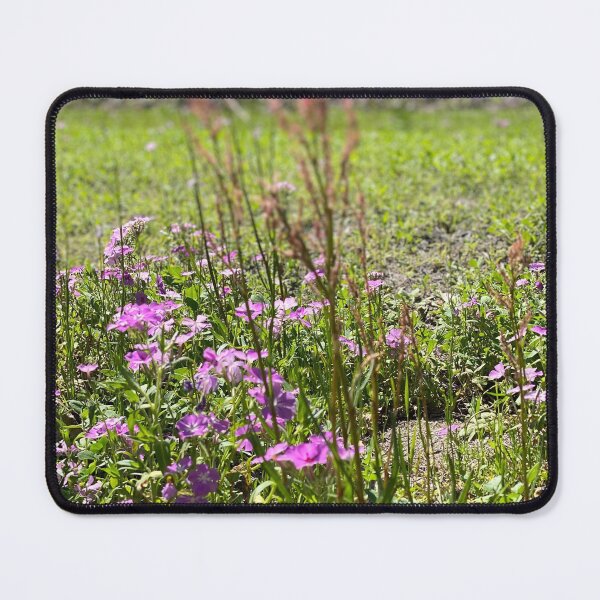 Item preview, Ravine Gardens Ampitheater designed and sold by howwefindhappy.