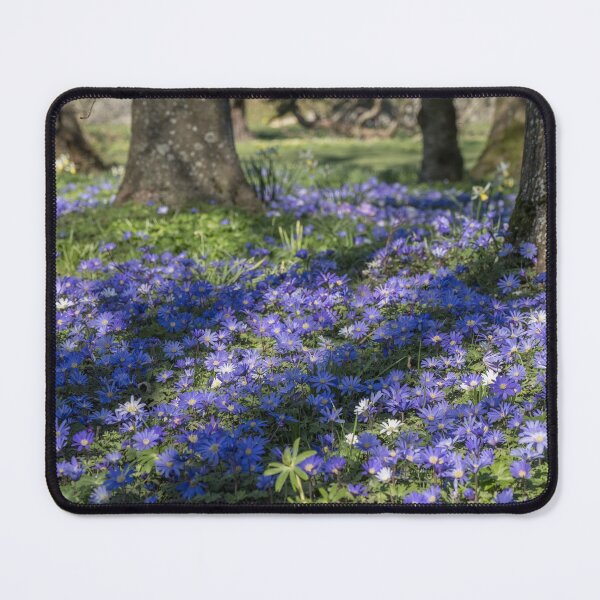 Item preview, A Carpet of Anemone Blanda  designed and sold by Judi Lion.