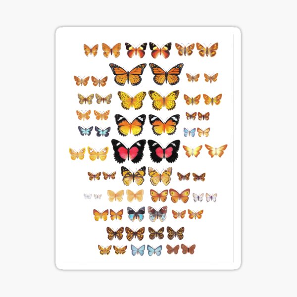 Australian Butterfly Collection Sticker