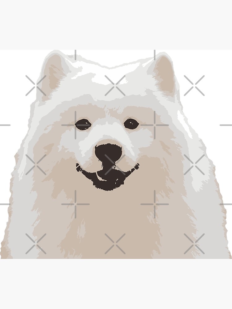 Japanese samoyed 2024