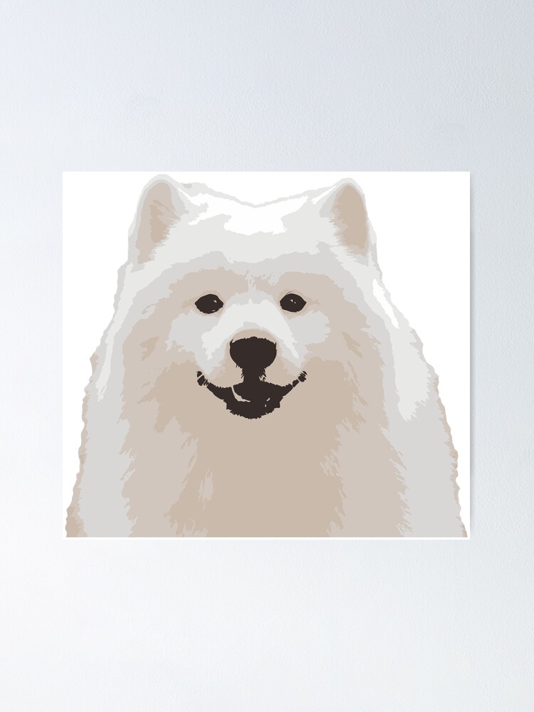 Japanese best sale samoyed dog