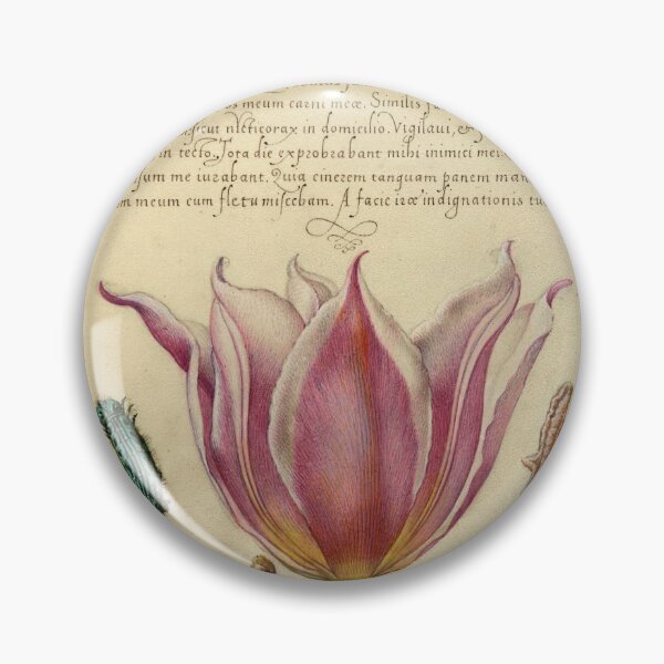 Item preview, Naturalist Manuscript: Insect, Flower, and Calligraphy Illumination by Joris Hoefnagel designed and sold by Naturalist Prints.