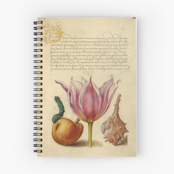 Item preview, Naturalist Manuscript: Insect, Flower, and Calligraphy Illumination by Joris Hoefnagel designed and sold by Naturalist Prints.