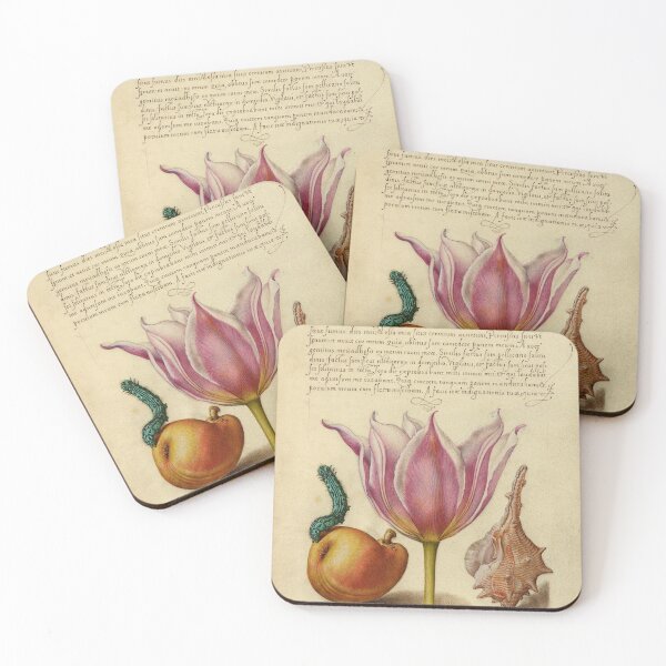 Item preview, Naturalist Manuscript: Insect, Flower, and Calligraphy Illumination by Joris Hoefnagel designed and sold by Naturalist Prints.
