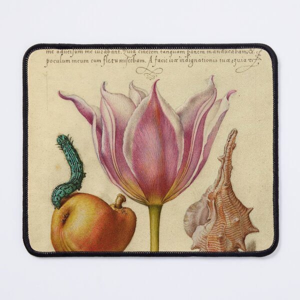 Item preview, Naturalist Manuscript: Insect, Flower, and Calligraphy Illumination by Joris Hoefnagel designed and sold by Naturalist Prints.