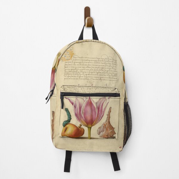 Item preview, Naturalist Manuscript: Insect, Flower, and Calligraphy Illumination by Joris Hoefnagel designed and sold by Naturalist Prints.