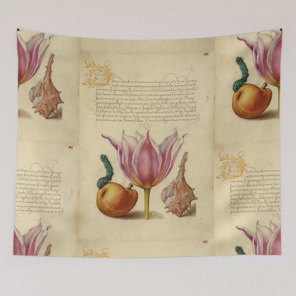 Item preview, Naturalist Manuscript: Insect, Flower, and Calligraphy Illumination by Joris Hoefnagel designed and sold by Naturalist Prints.