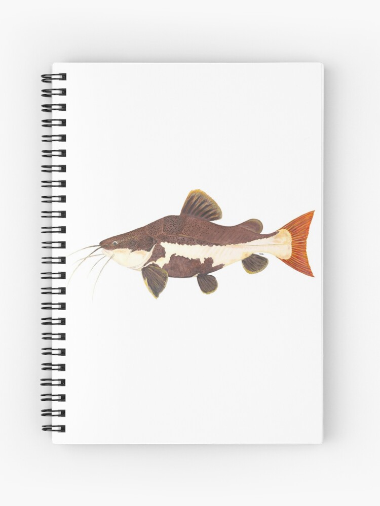 Redtail Catfish (Phractocephalus hemiolioterus) | Spiral Notebook