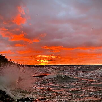 Artwork thumbnail, The sunset on fire by ROBERT NIEDERRITER