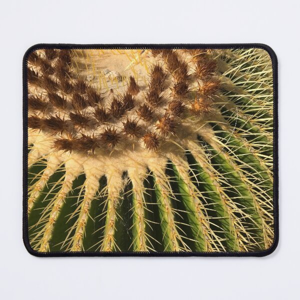 Item preview, Cacti designed and sold by Beau Gordon.
