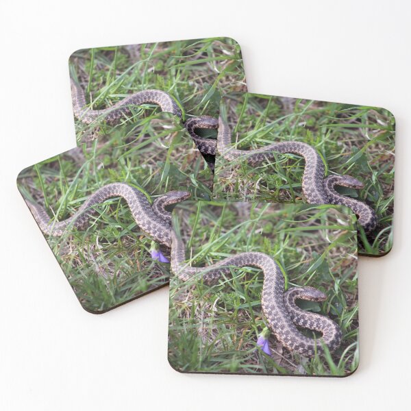 Item preview, Garter Snake designed and sold by cmariek.
