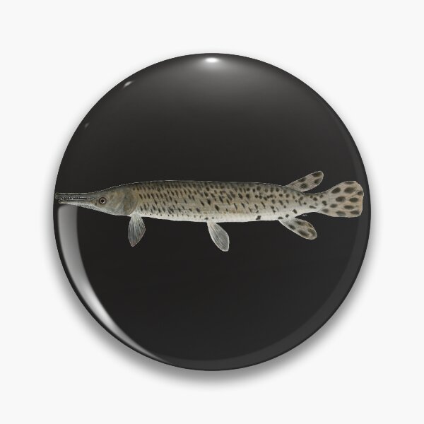 Item preview, Juvenile Alligator Gar (Atractosteus spatula)  designed and sold by LeakyCanoeArt.