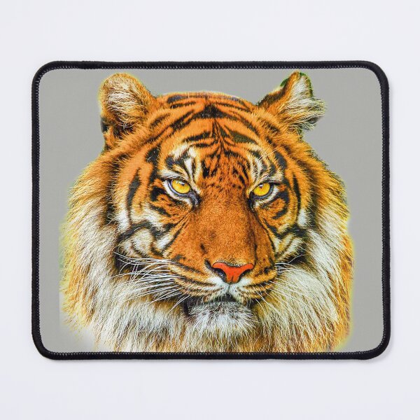 Item preview, Sumatran Tiger designed and sold by Dalyndigital Photography.