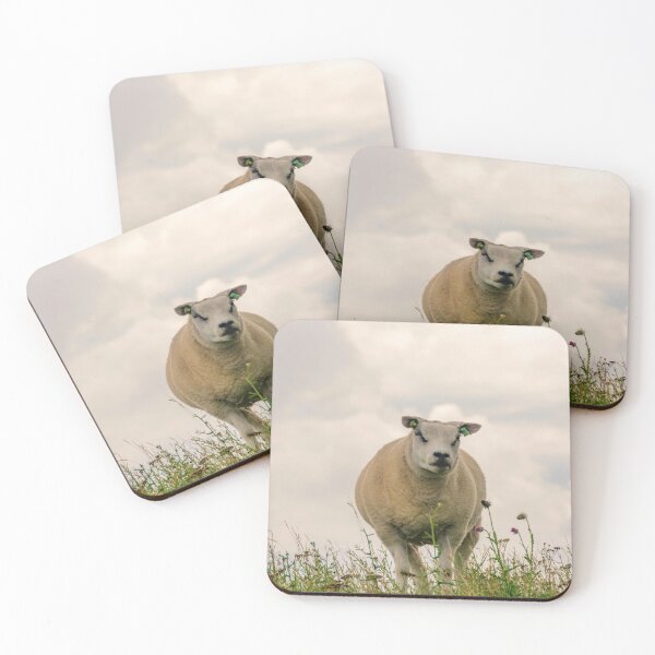 Item preview, Texel sheep designed and sold by koalas1414.
